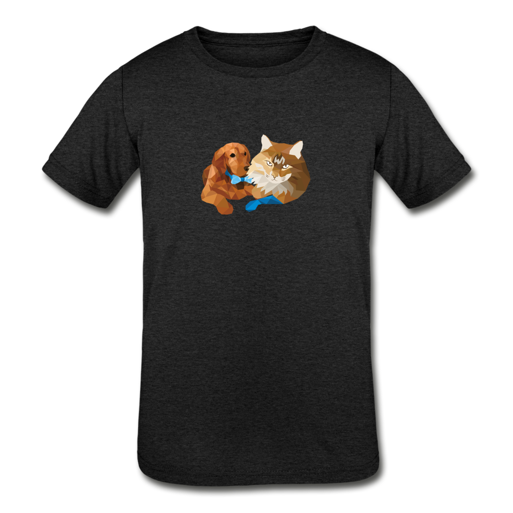 Kids' Tri-Blend T-Shirt - Ginger Dog And Cat - heather black