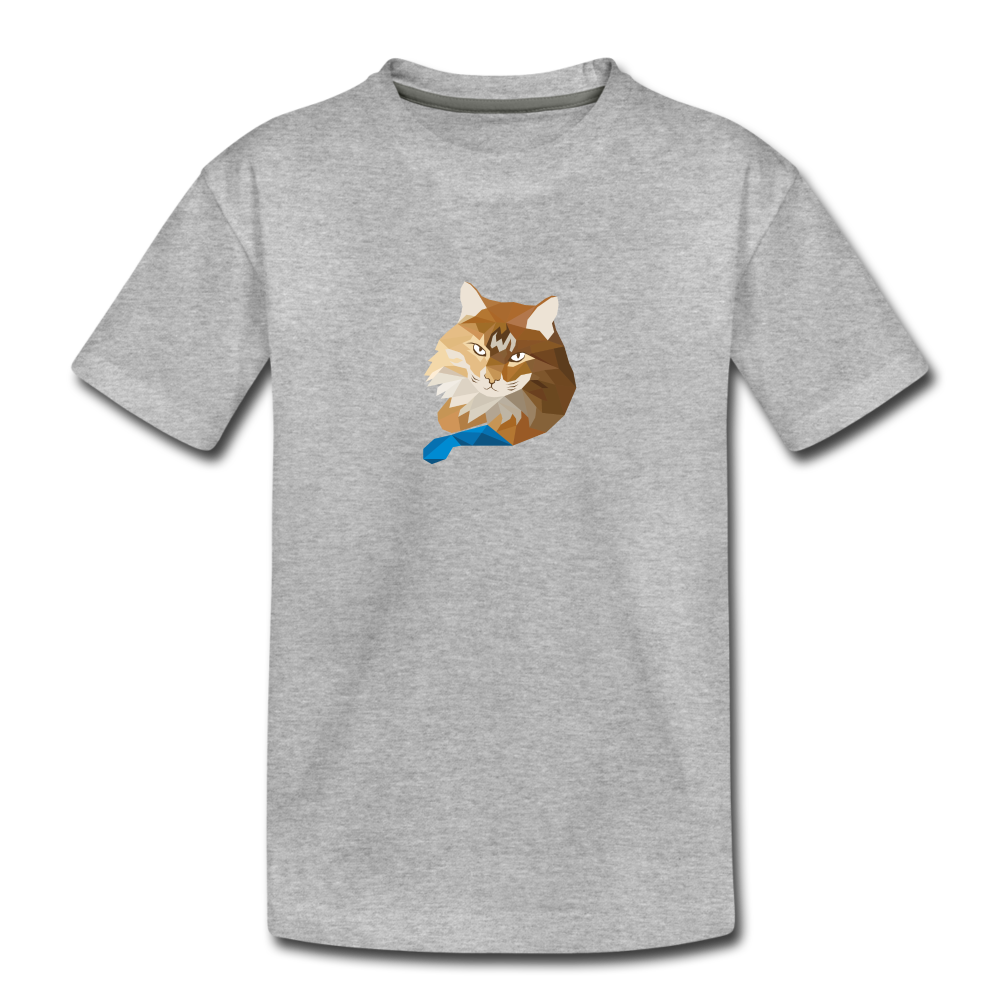 Toddler Premium T-Shirt - Ginger Cat - heather gray